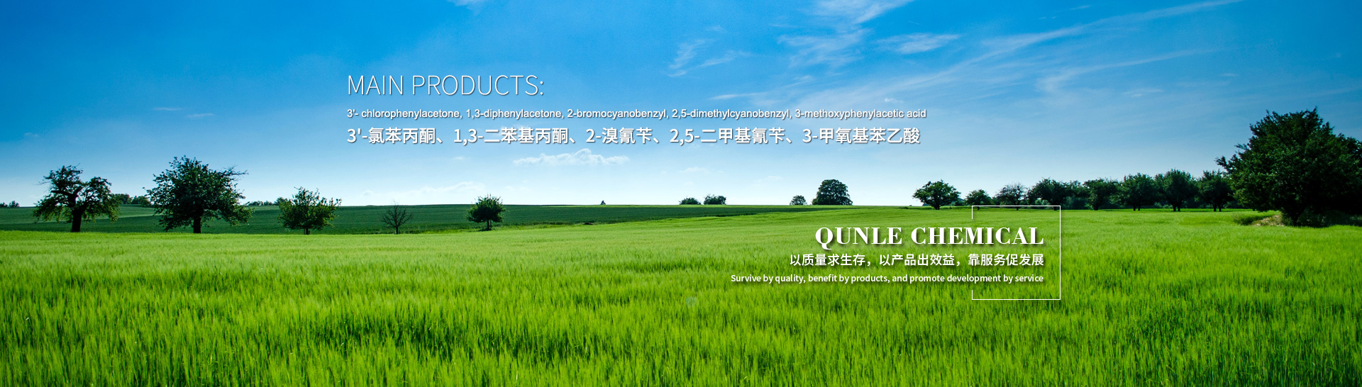 Jiangsu Luye Agrochemicals Co., Ltd.